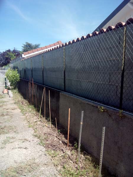 plantations le long du mur est